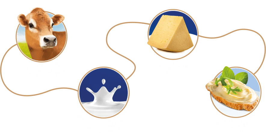 why_main